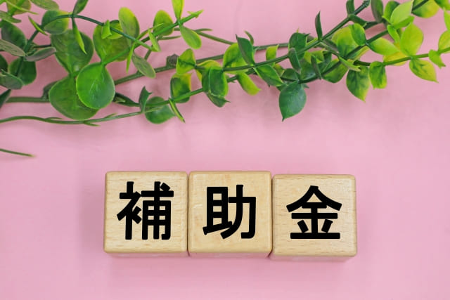 ピンクの背景に置かれた、日本語の漢字で「補助金」と刻印された3つの木のブロック。上部には緑の植物が配置されています。補助金制度や助成金をテーマにしたブログ記事やウェブサイトのアイキャッチ画像。